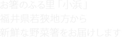 お箸のふる里「小浜」福井県若狭地方から新鮮な野菜箸をお届けします